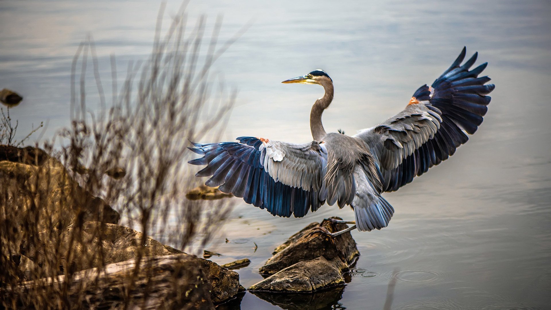 开云体育app-天使与魔鬼的加时赛，莫德里奇如何用最后十五分钟完成王者救赎